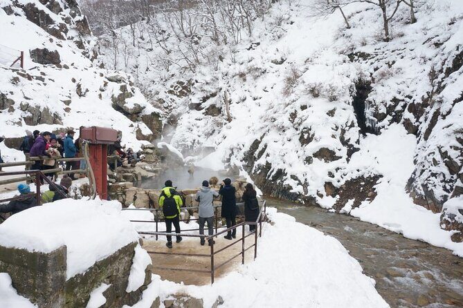 1-Day Snow Monkeys, Zenko-ji Temple & Sake in Nagano - Snow Monkey Rules and Winter Gear: The Difference Between Pain and Comfort