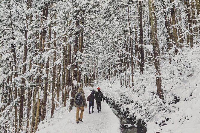 1-Day Snow Monkeys, Zenko-ji Temple & Sake in Nagano - Who Should Book This Tour (and Who Might Not)