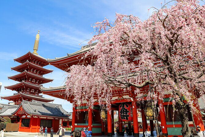 1-Day Tokyo Bus Tour - Key Highlights You’ll Actually Feel