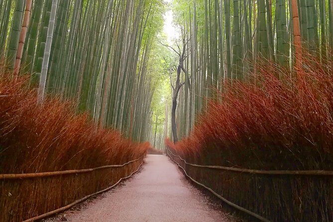 Afternoon Kyoto Bike Tour: Bamboo Forest, Monkeys & Hidden Spots - Stop 3: Tenryu-ji and the Sogenchi Teien Garden stop