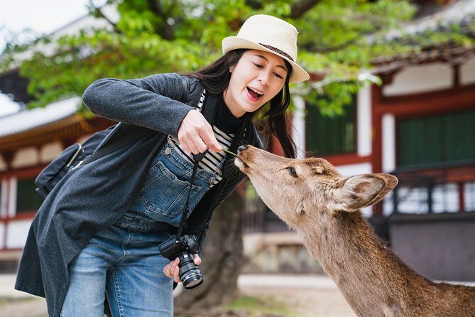 Ancient Capital Tour: Kyoto and Nara Highlights from Kyoto/Osaka - Key things I’d bet on