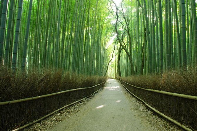 Ancient Capital Tour: Kyoto and Nara Highlights from Kyoto/Osaka - Bus Comfort, Wi-Fi, and the Real Logistics That Can Make or Break It