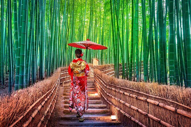 Ancient Capital Tour: Kyoto and Nara Highlights from Kyoto/Osaka - Best-Fit Traveler: Who This Tour Is Made For