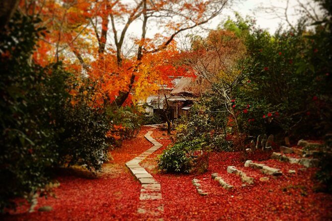 Arashiyama Bamboo Forest & Hidden Gems Bike Tour (Early Bird) - Stop 1: Bamboo Forest Street and Kyoto’s famous sound