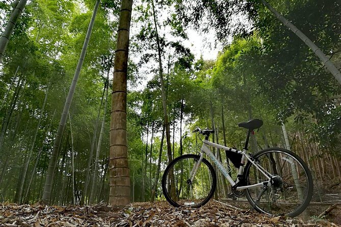 Arashiyama Bamboo Forest & Hidden Gems Bike Tour (Early Bird) - Stop 4: Togetsukyo Bridge and the mountain-view payoff