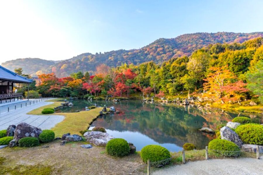 Arashiyama Bamboo, Temple, Monkeys, or Secret Sake Brewery - Nonomiya Shrine: A quick cultural reset