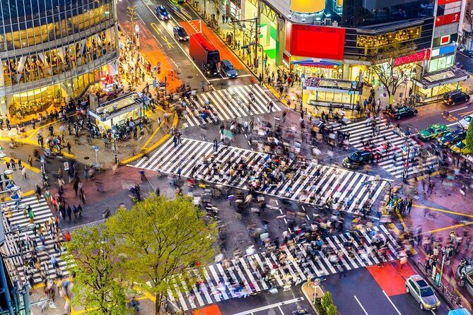 Best of Shibuya Food Tour - Key Highlights Worth Prioritizing