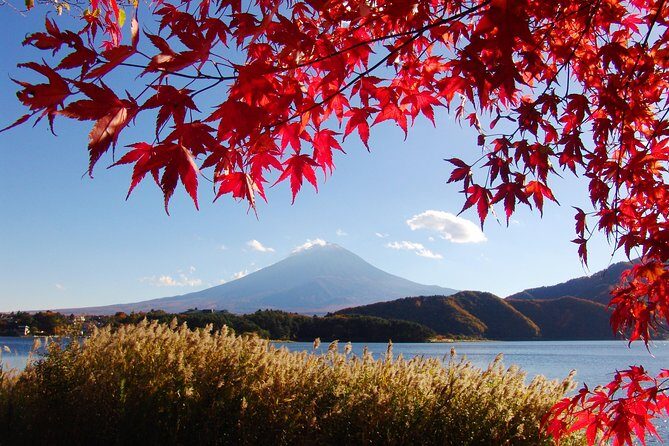 Discover Mt. Fuji 5th Station & Kawaguchiko Sightseeing Day Tour - The Bus Ride With Wi‑Fi: Comfort Helps, But Timing Wins