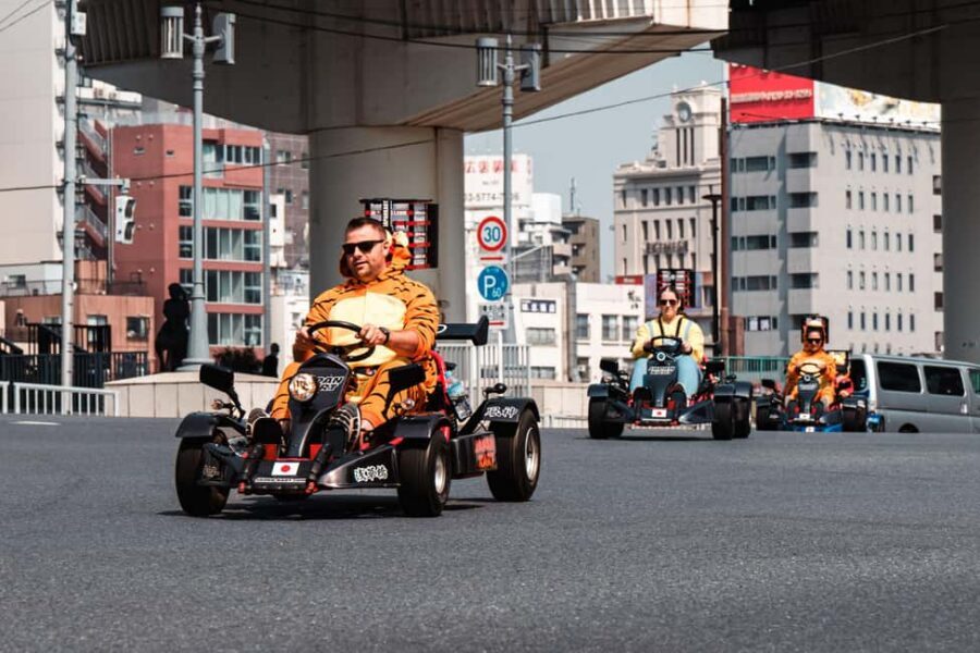 East Tokyo Go-Kart Tour - What you need to drive: the IDP rules that can stop you