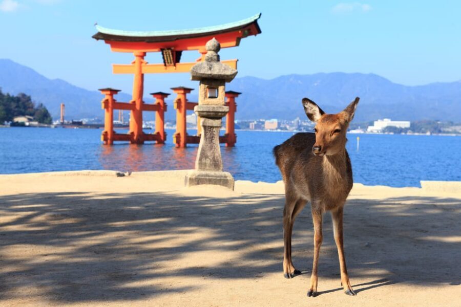 From Hiroshima: Hiroshima & Miyajima 1 Day Tour with Lunch - Ferry to Miyajima: Hiroshima Bay does the dramatic work