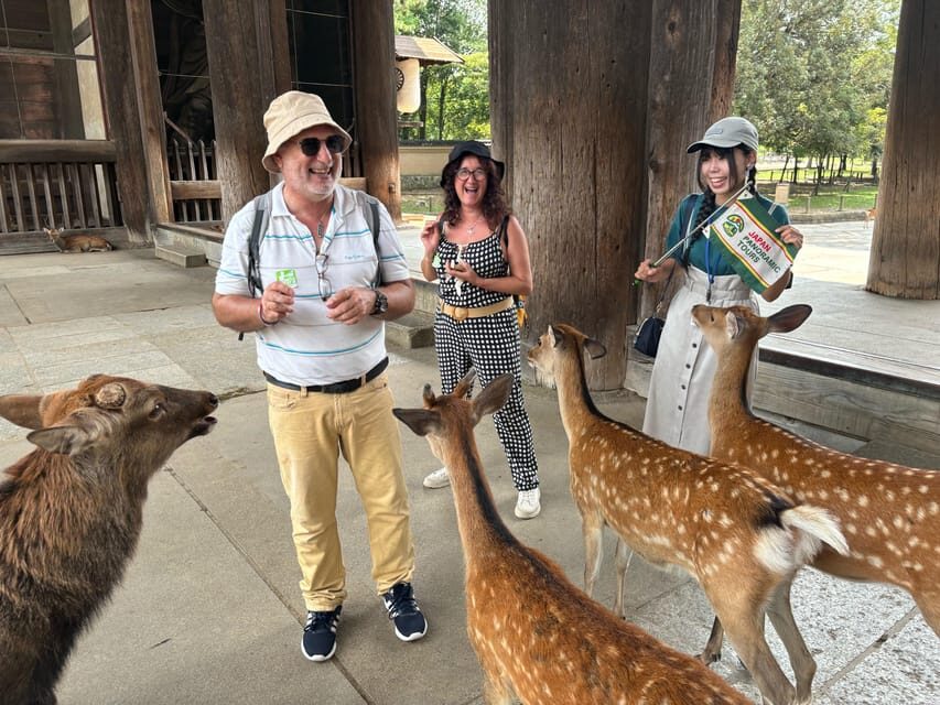 From Kyoto: Nara Guided Morning Tour - Meeting at Kyoto Avanti, then straight to Nara