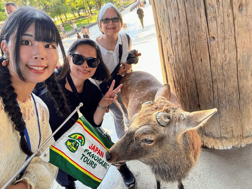 From Kyoto: Nara Guided Morning Tour - Price and timing: $77 for a smart Nara sampler