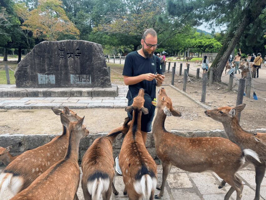 From Kyoto: Nara Guided Morning Tour - Quick “do this on the day” checklist