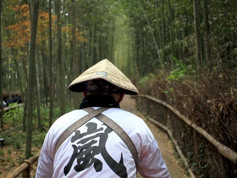 From Kyoto/Osaka: Kyoto Top Highlights 1-Day Guided Bus Tour - Key Takeaways Before You Go
