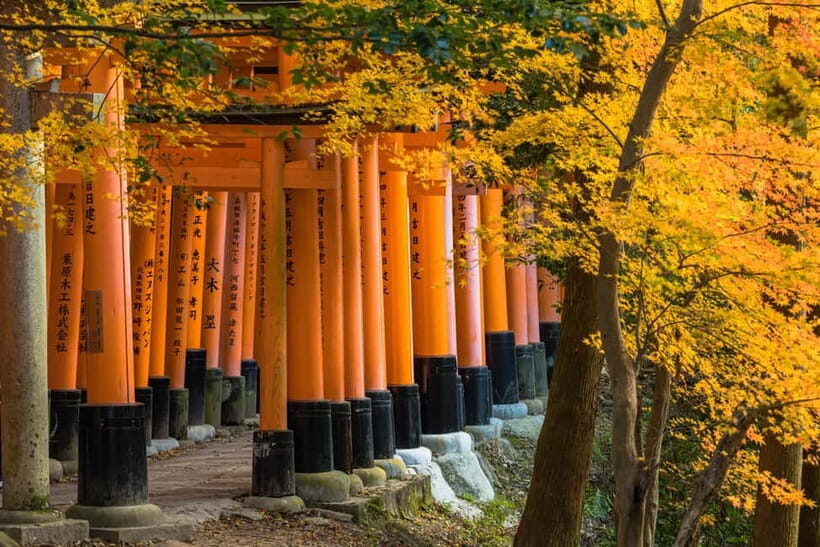 From Kyoto/Osaka: Kyoto Top Highlights 1-Day Guided Bus Tour - Kiyomizudera: risk, waterfalls, and a view over Kyoto