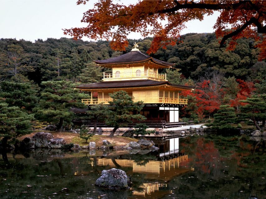 From Kyoto/Osaka: Kyoto Top Highlights 1-Day Guided Bus Tour - Kinkaku-ji Golden Pavilion: short visit, big wow