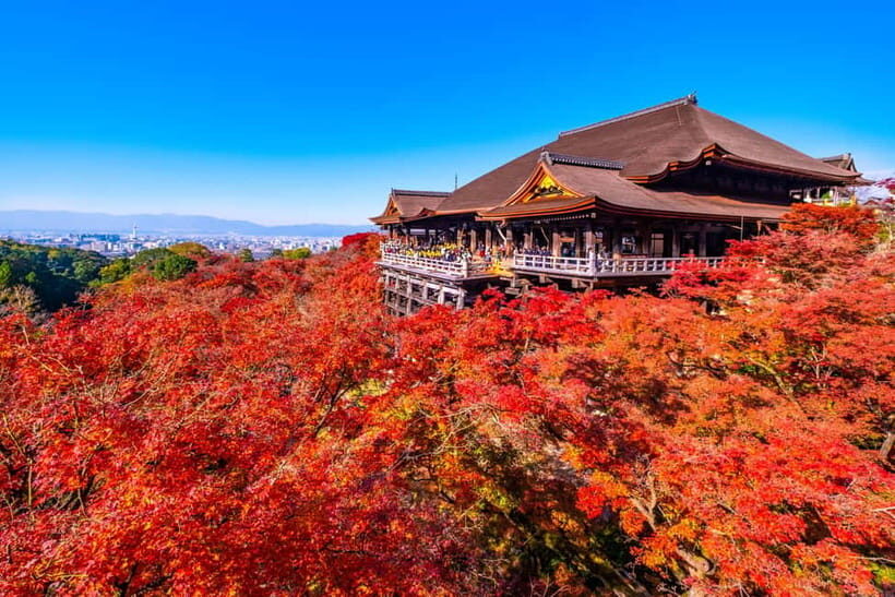 From Kyoto/Osaka: Kyoto Top Highlights 1-Day Guided Bus Tour - Arashiyama and Sagano Bamboo Forest: where the day shifts into nature