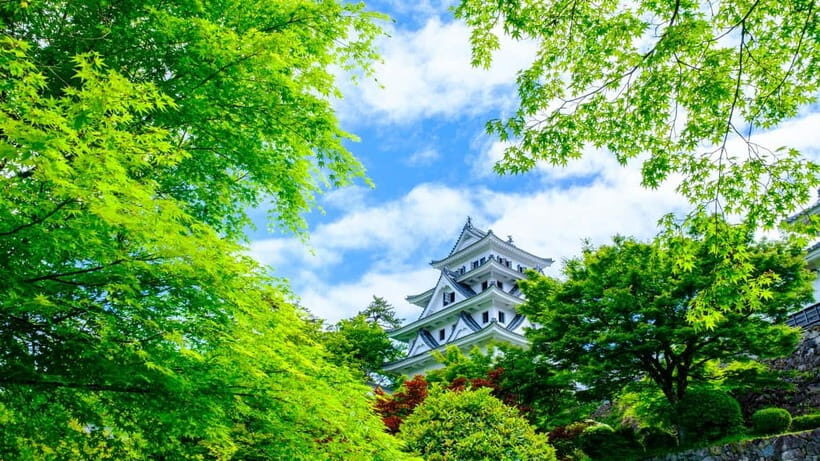From Nagoya: Gujo, Hida Takayama, and Shirakawa-go Day Tour - The 11-Hour Reality: What One Long Bus Day Does to You
