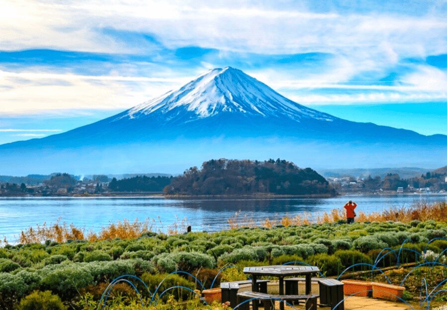 From Tokyo: Mount Fuji Full Day Customizable Private Tour - Mount Fuji 5th Station: Big Views, Small Costs, Clear Rules