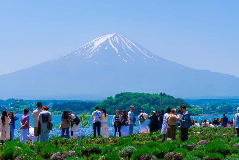 From Tokyo: Mt Fuji, Arakurayama and Kawaguchi Lake Day Trip - Pace, timing, and the bus-you-must-not-miss rule