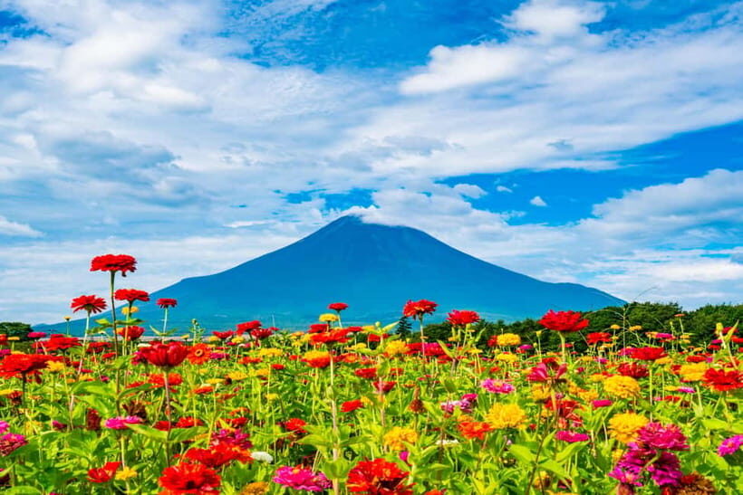 From Tokyo: Must-Visit Mount Fuji Highlight Full-Day Tour - When weather turns: how the guide handles visibility