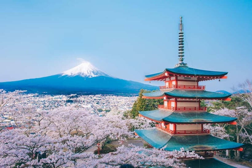 From Tokyo: Must-Visit Mount Fuji Highlight Full-Day Tour - The real logistics: 11 hours, big coach, and why timing matters