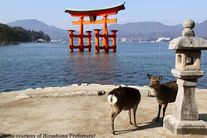 Full Day Hiroshima and Miyajima Bus Tour from Hiroshima - Hiroshima Peace Memorial Park + Museum: the emotional spine of the day