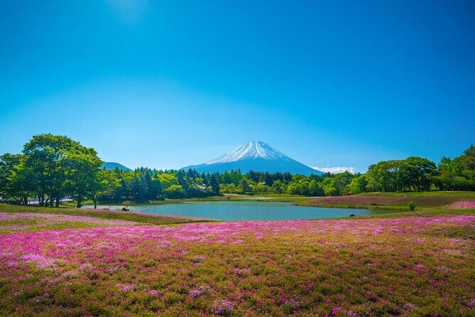 Full Day Tour to Mount Fuji in Spanish - Key highlights before you go
