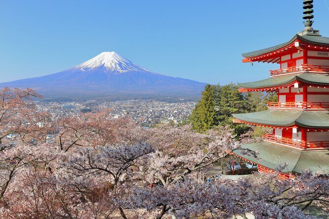Full Day Tour to Mount Fuji in Spanish - How the route adapts when Fuji hides