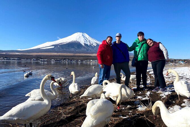 Full Day Tour to Mount Fuji in Spanish - Stop-by-stop: Lake Kawaguchiko viewpoints, Oshino Hakkai, and Aokigahara