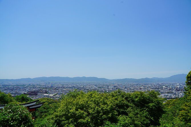 Fushimi Inari Hidden Hiking Tour (Private Option Available) - Bamboo forest time and torii gate moments you can actually enjoy