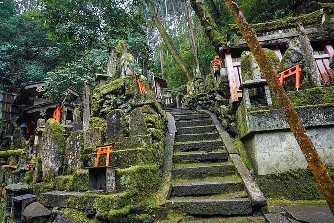 Fushimi Inari Hidden Hiking Tour (Private Option Available) - Is $63.14 good value for a 7 km guided route?
