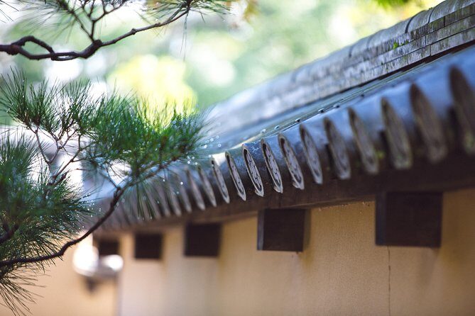 Hidden Kyoto E-Biking tour - The Ride Itself: 8 Kilometers, Real Roads, No Drama