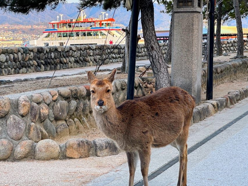 Hiroshima: Hiroshima and Miyajima UNESCO Sites 1-Day Tour - Returning to Hiroshima: the day’s meaning lingers on the bus