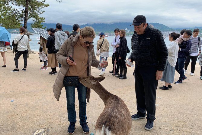 Hiroshima / Miyajima Full-day Private Tour with Government Licensed Guide - Hiroshima Castle and Shukkeien Garden: The City Beyond the Memorial