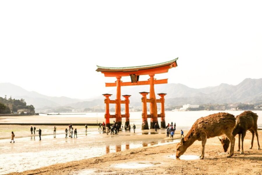 Hiroshima: Miyajima Peace Memorial Icons of Peace and Beauty - The professional photo option: memories with less effort