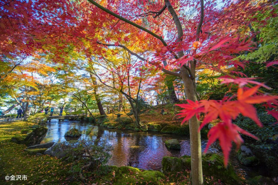 Kanazawa: World Heritage Shirakawa-go & Two Local Experience - Lunch in Shirakawa-go: plan it loosely, not tightly