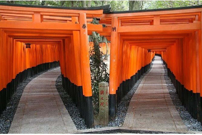 Kyoto 1 Day Tour from Kyoto - Fushimi Inari Taisha: Senbon Torii in real scale