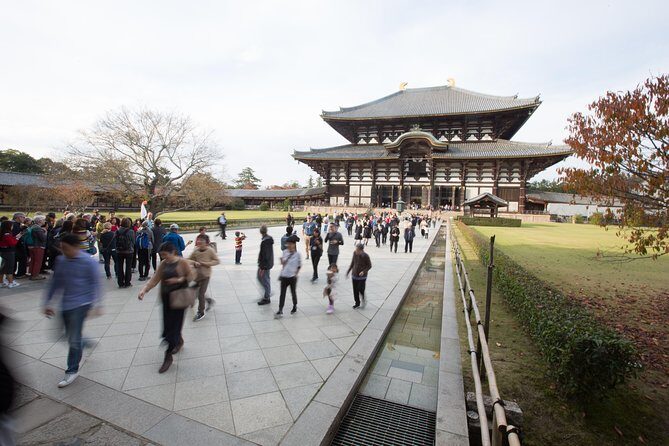 Kyoto and Nara Day Trip from Kyoto - Kasuga Grand Shrine lanterns, then Nara Park deer (yes, plan ahead)