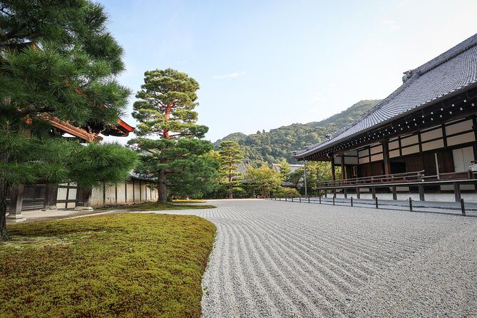 Kyoto Arashiyama Bamboo forest & Garden Half-Day Walking Tour - Bamboo Forest Street: fast, guided, and built for good photos