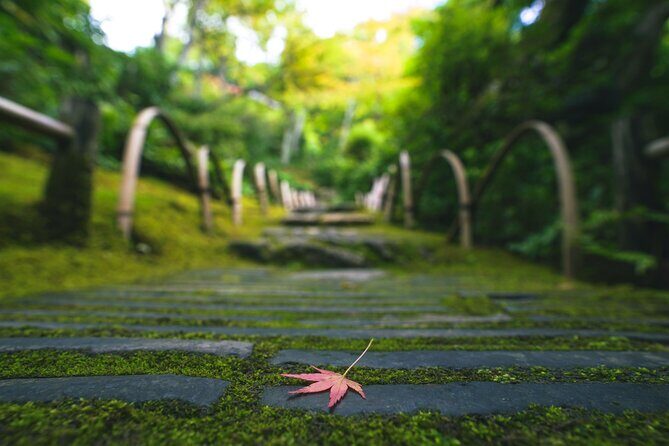 Kyoto Arashiyama Bamboo forest & Garden Half-Day Walking Tour - Togetsukyo Bridge lunch: the break that keeps the day from falling apart