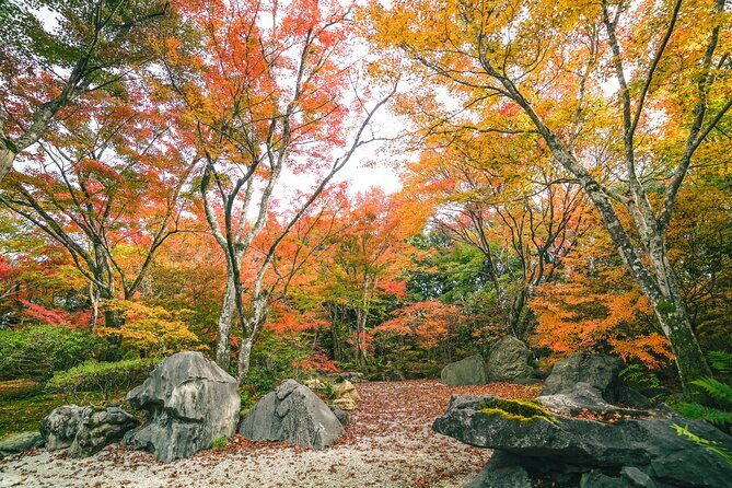Kyoto Arashiyama Bamboo forest & Garden Half-Day Walking Tour - Tenryu-ji Temple: Zen gardens and World Heritage details with a guide