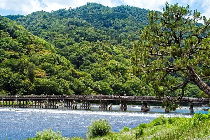 Kyoto: Arashiyama Bamboo Forest, Monkeys, Matcha & Temple Tour - Key highlights you’ll actually feel