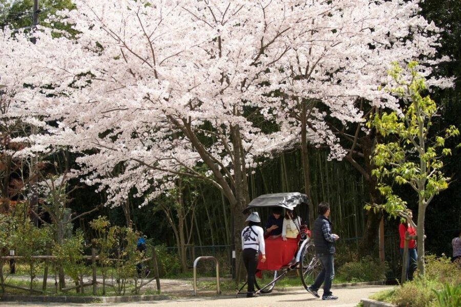 Kyoto: Arashiyama Customized Rickshaw Tour & Bamboo Forest - Rakushisya cottage: where haiku-era Kyoto feels close