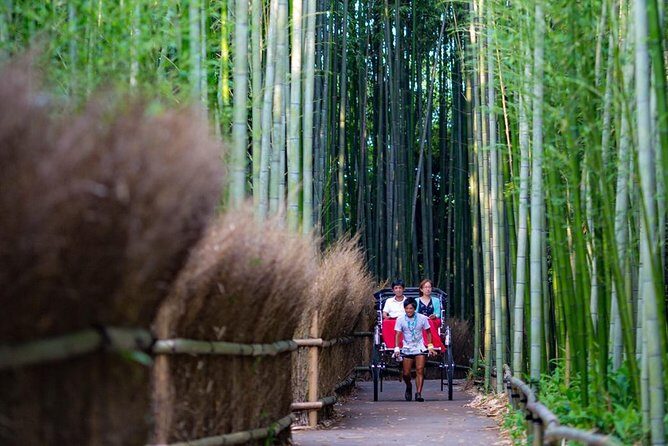 Kyoto Arashiyama Rickshaw Tour with Bamboo Forest - Who Should Book This Rickshaw Tour (and Who Might Skip It)