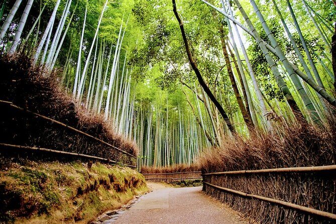 Kyoto Arashiyama Walking Tour: Bamboo, Monkeys, Gardens & Secrets - Tenryu-ji Temple Gardens: UNESCO Views With Real Context