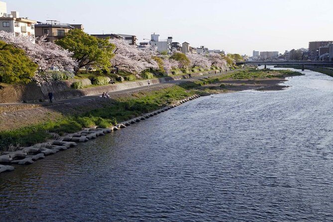 Kyoto Bar Hopping Night Tour - Key points to know before you go