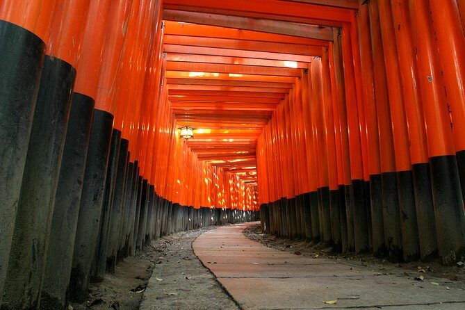 Kyoto Customized Private Tour: See Top Attractions in 1 Day - Stop 2: Fushimi Inari-taisha and the torii choice you should make