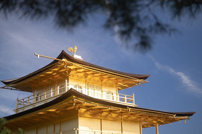 Kyoto: Early Morning Tour with English-Speaking Guide - Arashiyama in the Morning: Bamboo-Area Mood Plus Scenic Breathing Room