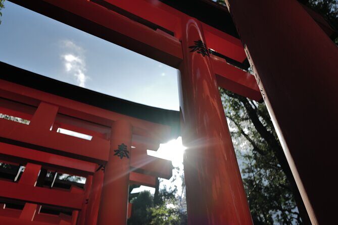 Kyoto: Early Morning Tour with English-Speaking Guide - Pace, Guide Style, and Why the Group Size Helps